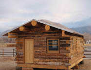lineshack_thumbnail
